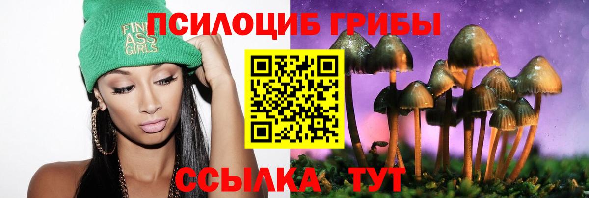 Галлюциногенные грибы Magic Shrooms Мценск